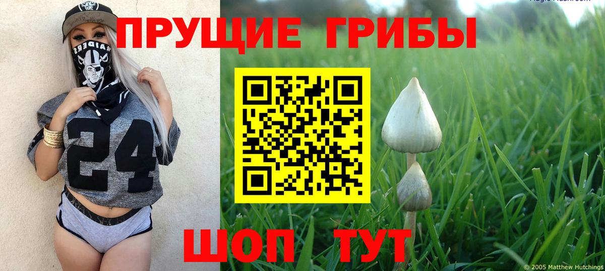ГАШИШ Сальск