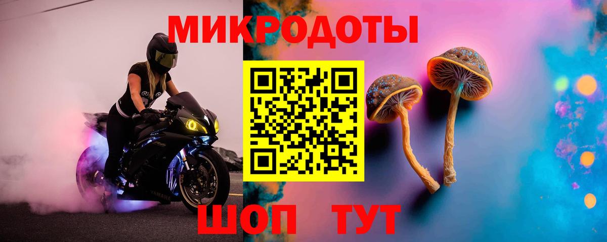 Псилоцибиновые грибы Cubensis Сальск