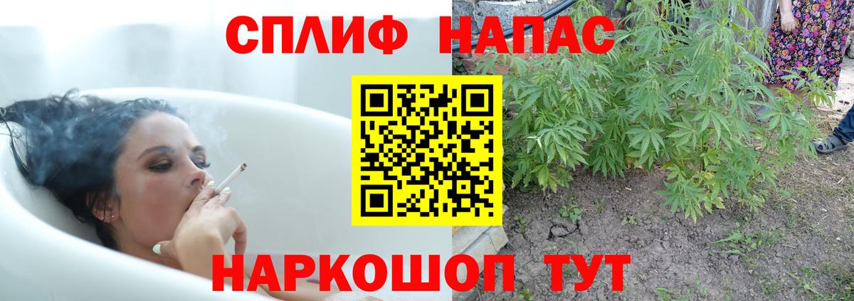 Сальск  Конопля Bruce Banner  Вход с VPN  Бошки марихуана Ganja  Бошки марихуана LSD WEED 